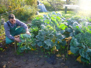 Picture of exhausted looking home gardener. NOTE: This picture is okay for me to use, as I found it within the "Clipart" collection of my Microsoft Office suite, but do not consider it openly licensed, as the rest of my article is, because I have no rights to transfer the copyright. 